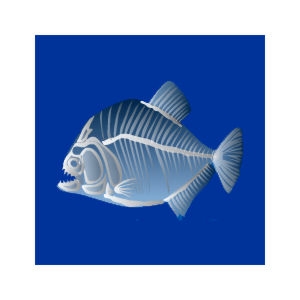 X-Ray Piranha